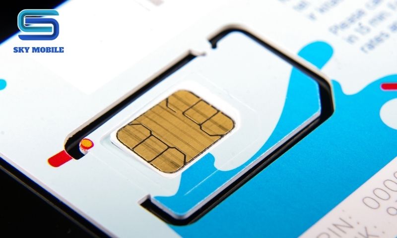 Mua Sim Nhật Ở Đâu: Kinh Nghiệm Chọn Đúng, Tránh Mất Tiền
